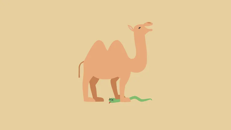 A camel steps on a snake
