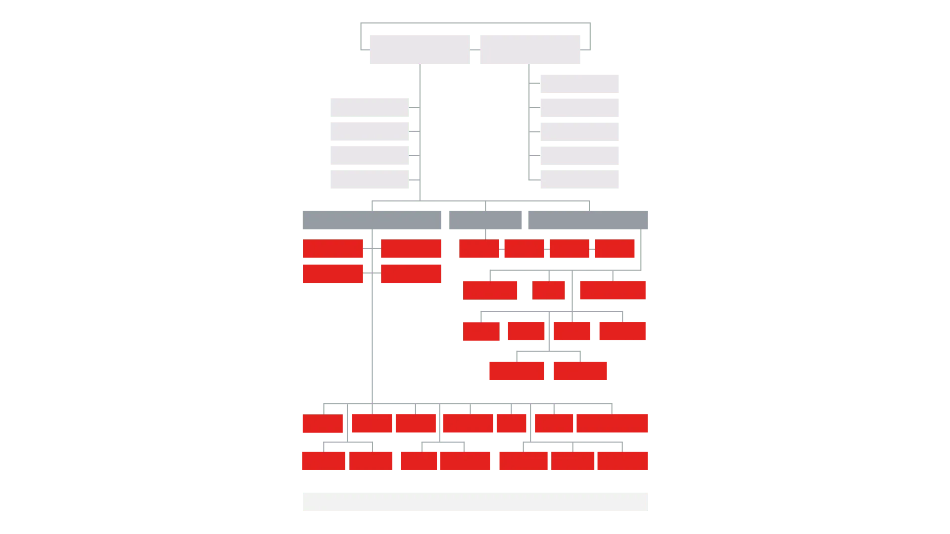 Unlabelled organisational chart
