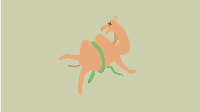 A snake is strangling a camel