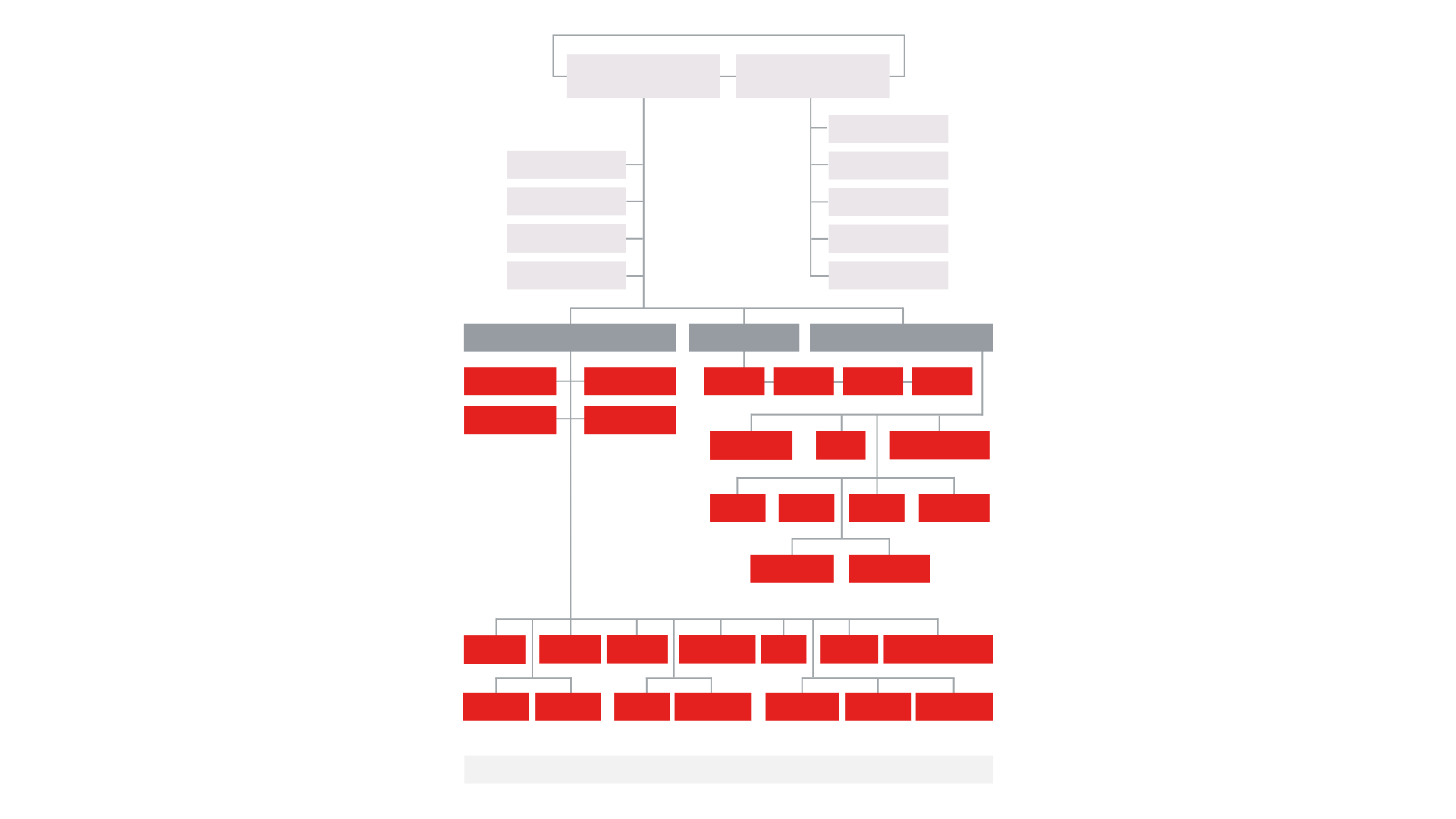 Unlabelled organisational chart