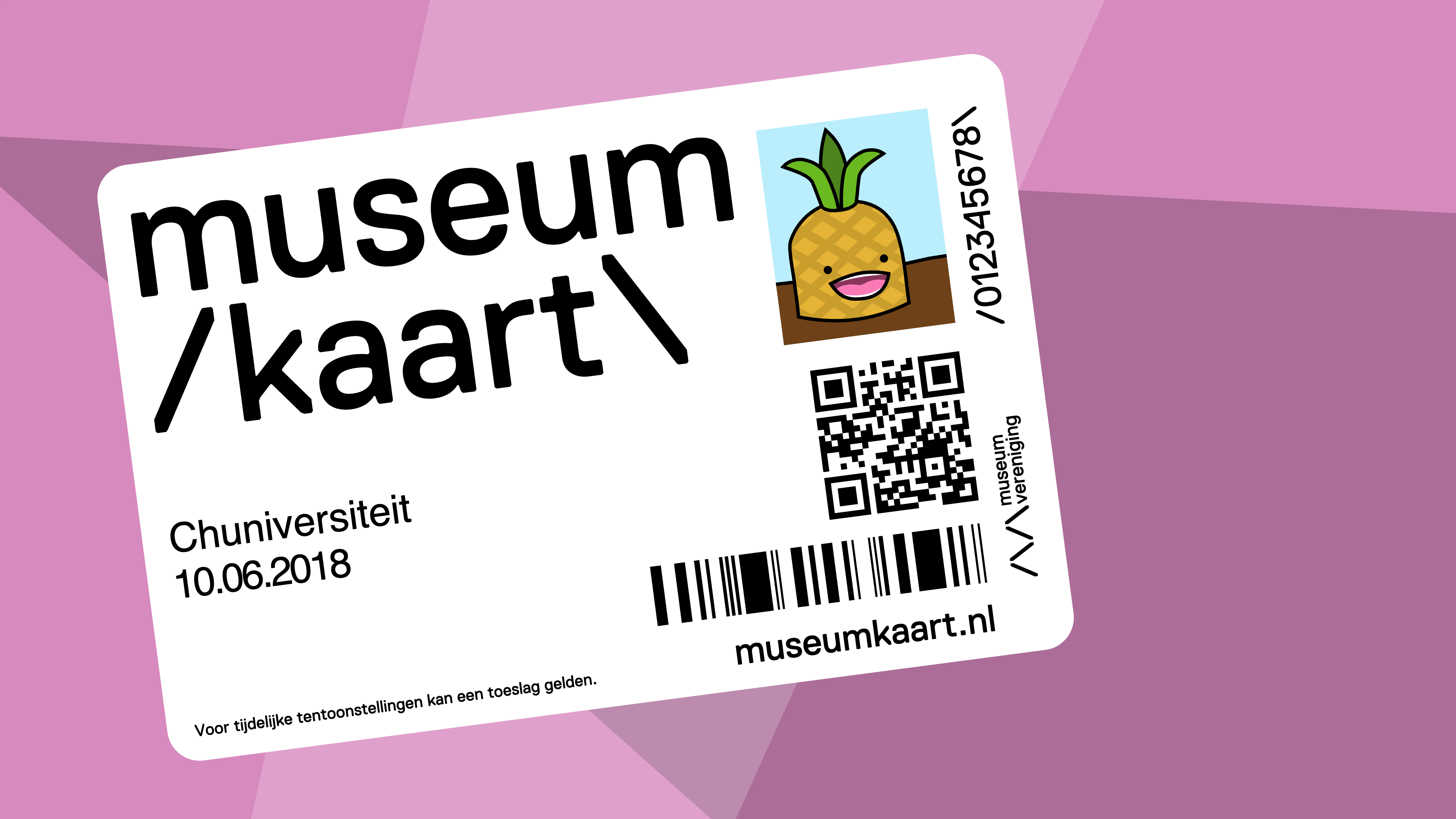 A fictional Netherlands Museum Pass